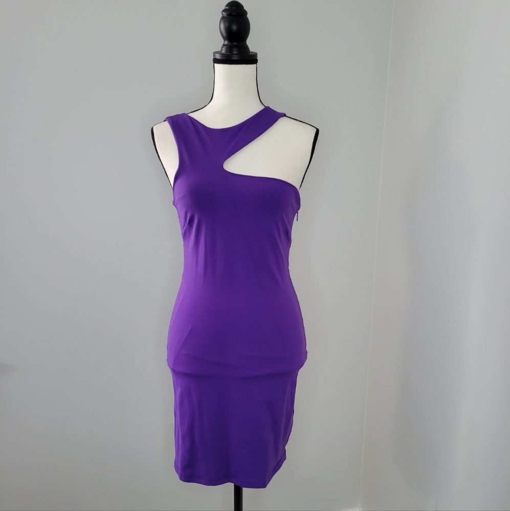 Bebe Bodycon Dress